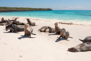 tours a galapagos 4 dias
