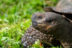 tours a galapagos ecuador