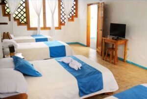 tours a galapagos hotel native camas