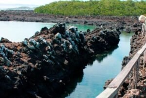 galápagos school canal de los tiburones