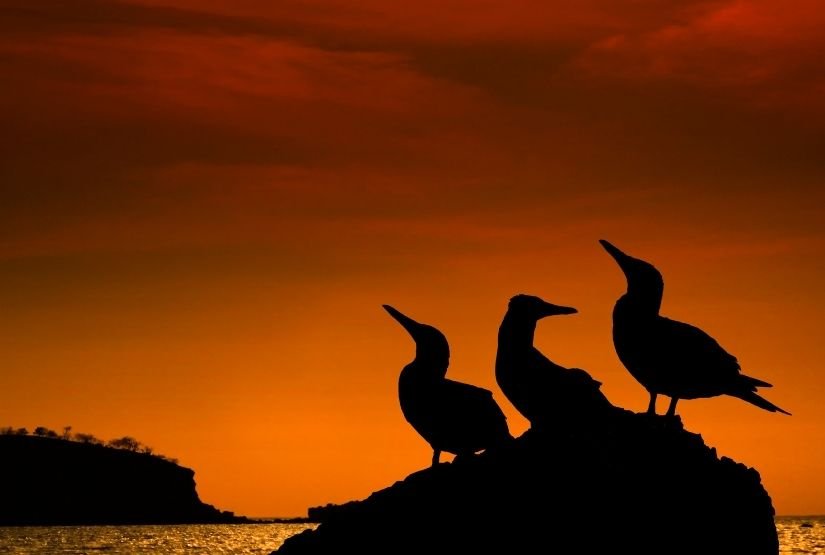 Galapagos life 5D 4N
